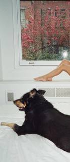 Emily Ratajkowski feet photo thumbnail