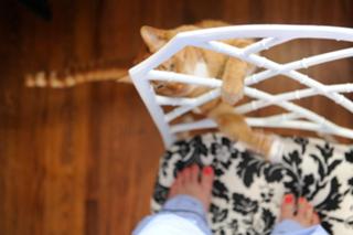 Emily Schuman feet photo 6