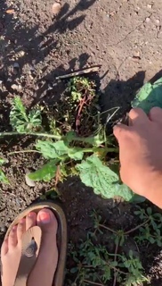 Emily Wears feet photo 20