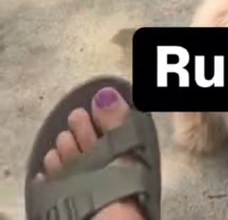Emily Wears feet photo 7