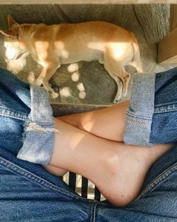 Emily Wickersham feet photo thumbnail
