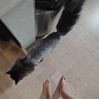 Emily Xuechun Zhang feet photo thumbnail