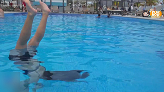 Emily Xuechun Zhang feet photo thumbnail