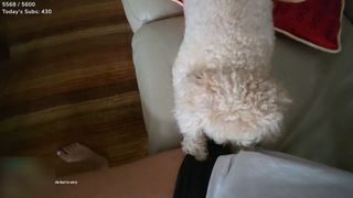 Emily Xuechun Zhang feet photo 13