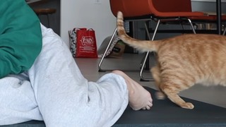 Emma Chamberlain feet photo thumbnail