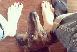 Emma Fitzpatrick feet photo 10