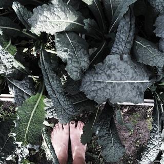 Emma Green feet photo 13