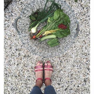 Emma Green feet photo 17