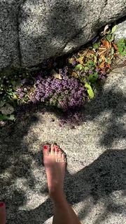Emma Green feet photo 17