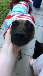 Emma Kenney feet photo thumbnail