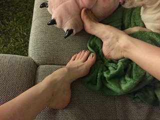 Emma Lovett feet photo thumbnail