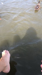 Emma Lovett feet photo thumbnail