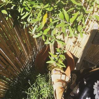 Emma Smetana feet photo 17