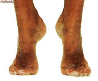 Emma Wiklund feet photo thumbnail