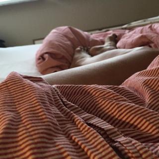 Emma Wiklund feet photo thumbnail