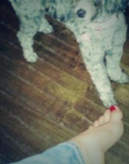 Emmanuelle Vaugier feet photo thumbnail