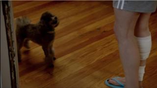 Emmanuelle Vaugier feet photo thumbnail