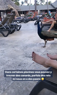 Emy Ltr feet photo 1