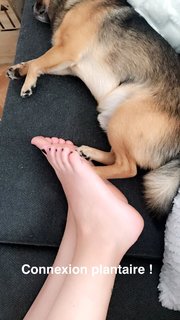 Emy Ltr feet photo 18