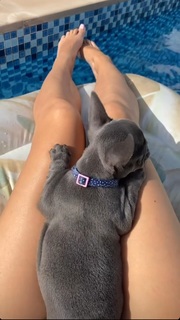 Enisa Bukvic feet photo thumbnail