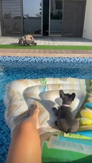Enisa Bukvic feet photo thumbnail