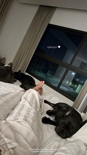 Enisa Bukvic feet photo thumbnail