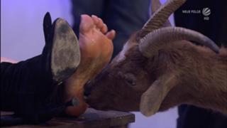 Enissa Amani feet photo 2