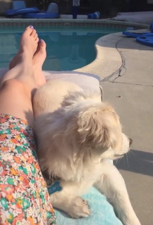Erica Rhodes feet photo 16