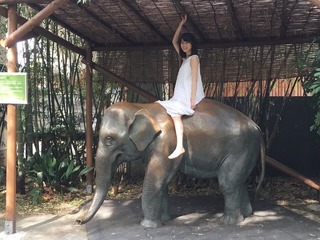 Erika Ikuta feet photo 14