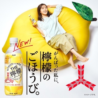 Erika Ikuta feet photo 1