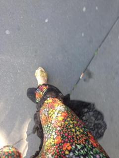 Erika Moulet feet photo 12