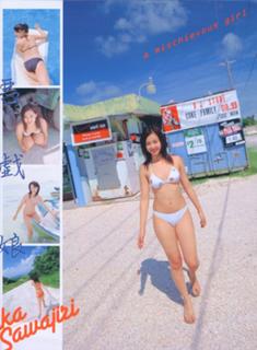 Erika Sawajiri feet photo 11