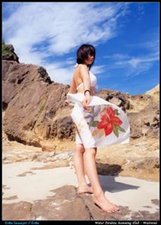 Erika Sawajiri feet photo 19