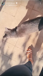 Erika Toa Russo feet photo 2