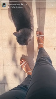 Erika Toa Russo feet photo 18