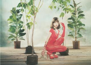 Erika Toda feet photo 20