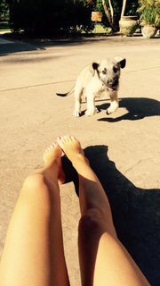 Erin Alvey O'Sullivan feet photo 8