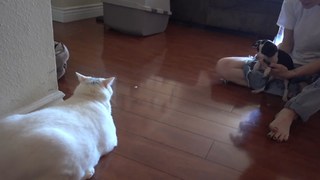Erin Gilfoy feet photo 13