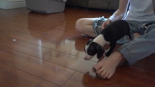 Erin Gilfoy feet photo 12