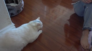 Erin Gilfoy feet photo 9