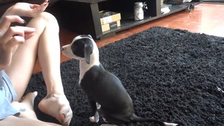Erin Gilfoy feet photo 19