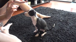 Erin Gilfoy feet photo 18