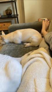 Erin Gilfoy feet photo 19