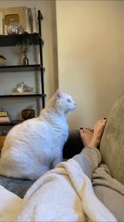 Erin Gilfoy feet photo 18