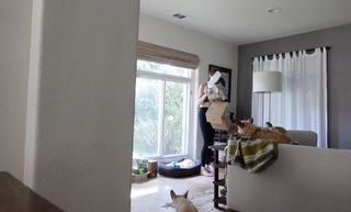 Erin Gilfoy feet photo 6