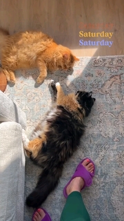 Erin Karpluk feet photo thumbnail