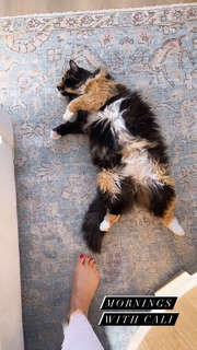 Erin Karpluk feet photo thumbnail