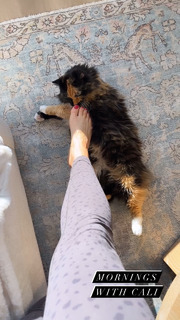 Erin Karpluk feet photo thumbnail