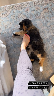 Erin Karpluk feet photo thumbnail