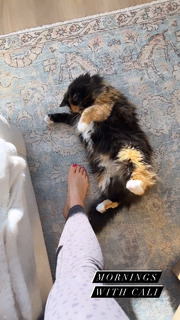 Erin Karpluk feet photo thumbnail